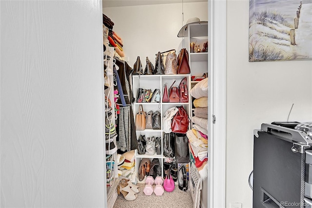 walk in closet with carpet