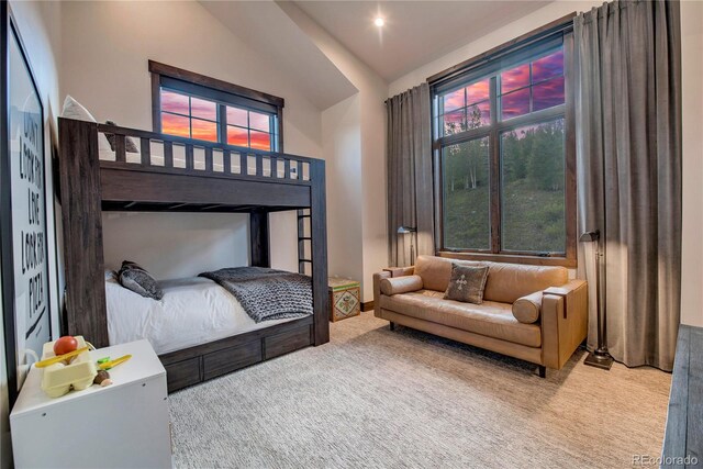 329 Raven Golf Ln, Silverthorne, CO 80498 - photo 35