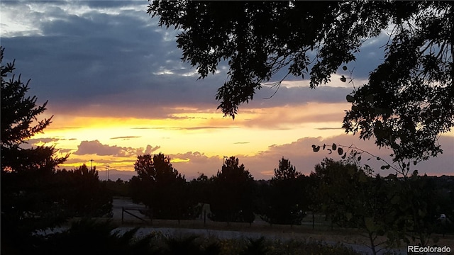 view of nature at dusk