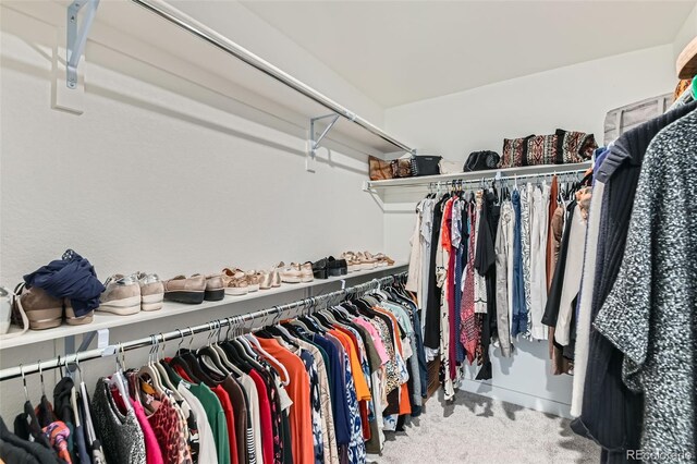 14551 Hudson St, Thornton, CO 80602 - walk in closet with carpet floors