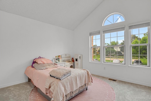 14396 E Temple Pl Unit D, Aurora, CO 80015 - bedroom with light carpet, baseboards, and high vaulted ceiling