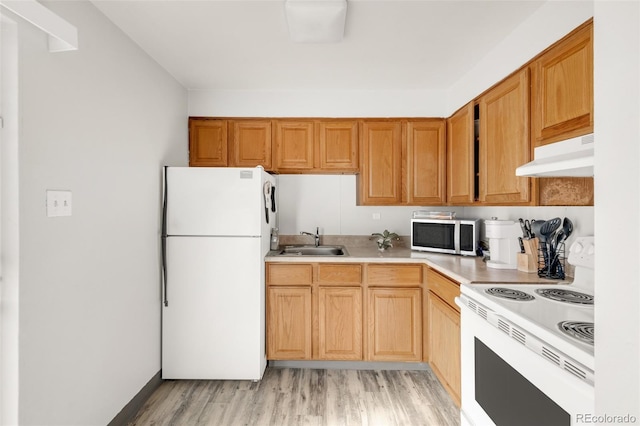 kitchen featuring sink, white appliances, and light hardwood / wood-style floors