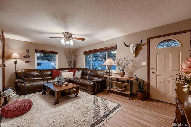 5900 W 62nd Ave, Arvada, CO 80003 - living area with light wood-style floors, a ceiling fan, and a textured ceiling