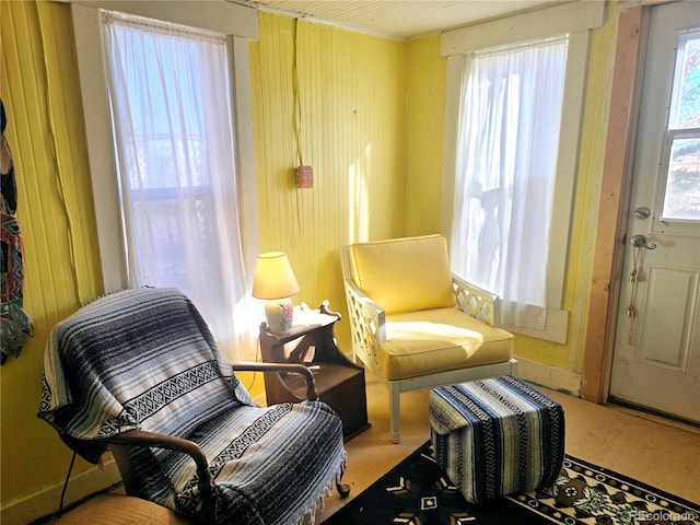 sitting room with carpet flooring