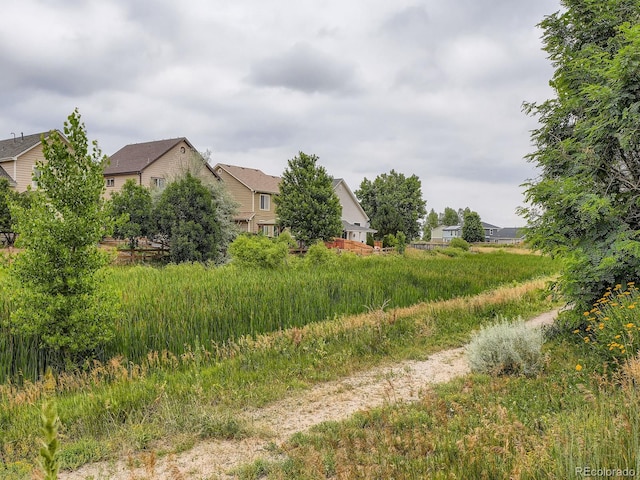 5553 Jasper St, Denver, CO 80239 - view of yard