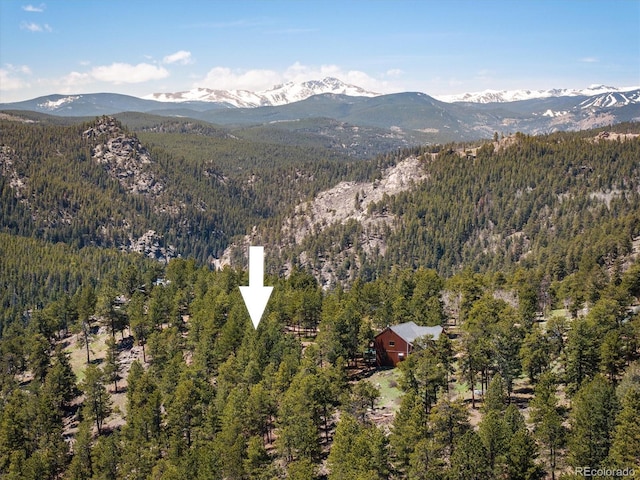213 Rocky Knob Ln, Nederland, CO 80466 - photo 1