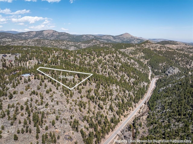 213 Rocky Knob Ln, Nederland, CO 80466 - photo 2