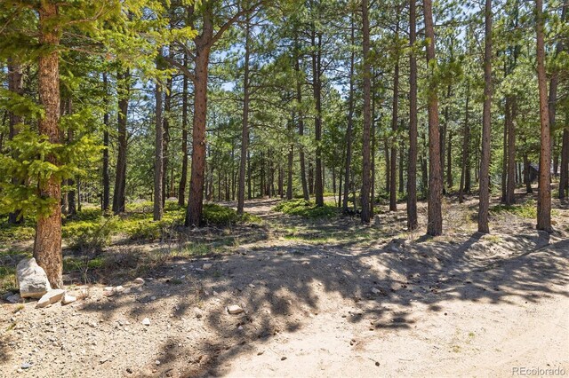 213 Rocky Knob Ln, Nederland, CO 80466 - photo 4