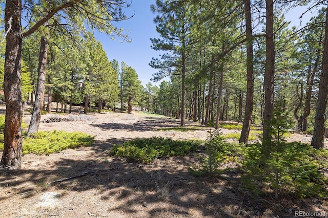 213 Rocky Knob Ln, Nederland, CO 80466 - photo 5