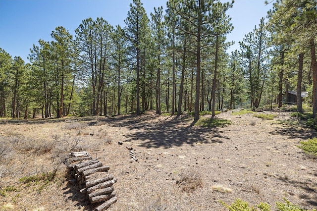 213 Rocky Knob Ln, Nederland, CO 80466 - photo 6