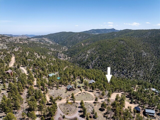 213 Rocky Knob Ln, Nederland, CO 80466 - photo 7