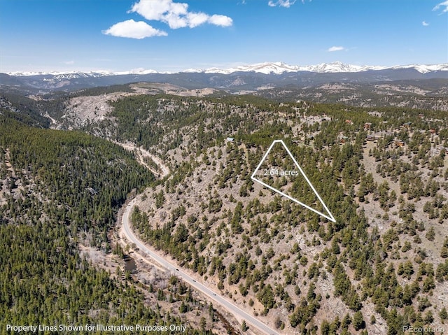 213 Rocky Knob Ln, Nederland, CO 80466 - photo 8