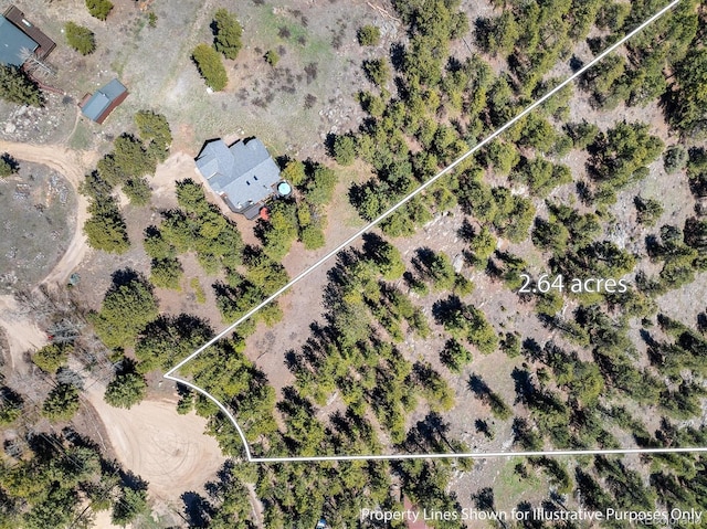 213 Rocky Knob Ln, Nederland, CO 80466 - photo 9
