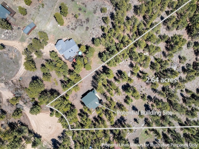 213 Rocky Knob Ln, Nederland, CO 80466 - photo 10
