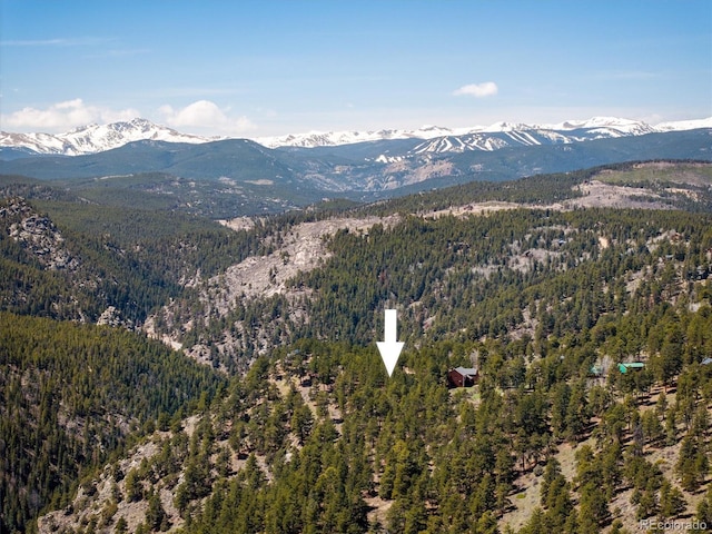 213 Rocky Knob Ln, Nederland, CO 80466 - photo 11