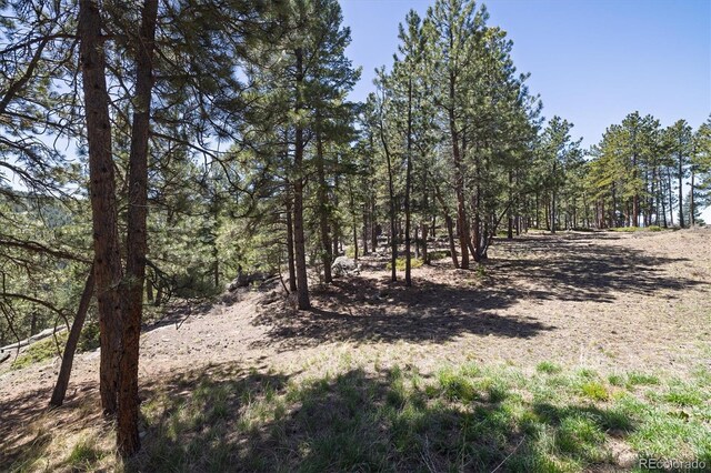 213 Rocky Knob Ln, Nederland, CO 80466 - photo 12