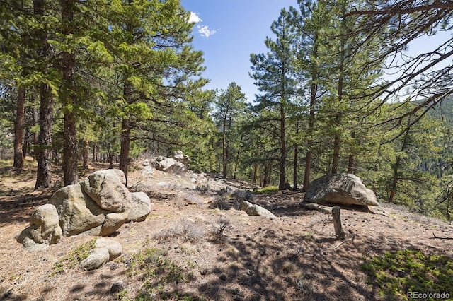 213 Rocky Knob Ln, Nederland, CO 80466 - photo 13