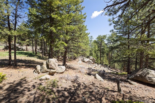 213 Rocky Knob Ln, Nederland, CO 80466 - photo 14