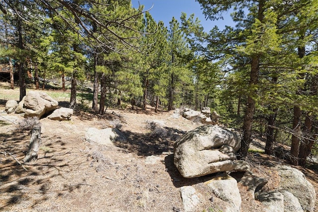 213 Rocky Knob Ln, Nederland, CO 80466 - photo 15