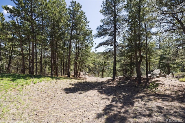 213 Rocky Knob Ln, Nederland, CO 80466 - photo 16