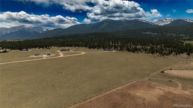 31308 N Meadow Way, Buena Vista, CO 81211