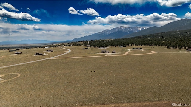 31308 N Meadow Way, Buena Vista, CO 81211
