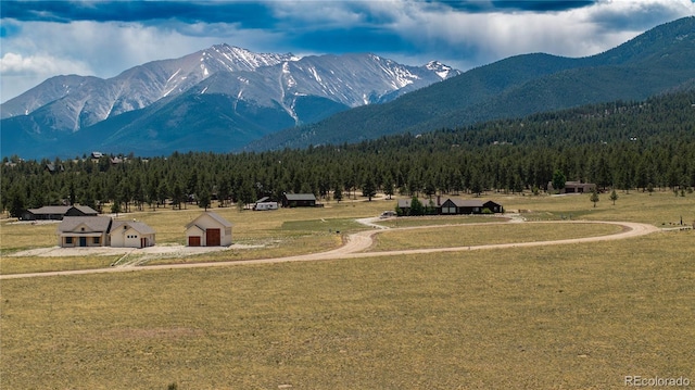 31308 N Meadow Way, Buena Vista, CO 81211