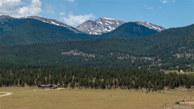 31308 N Meadow Way, Buena Vista, CO 81211