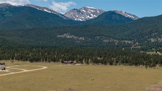 31308 N Meadow Way, Buena Vista, CO 81211