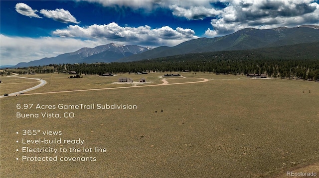 31308 N Meadow Way, Buena Vista, CO 81211
