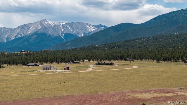 31308 N Meadow Way, Buena Vista, CO 81211