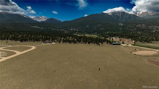 31308 N Meadow Way, Buena Vista, CO 81211
