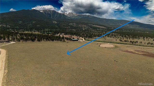 31308 N Meadow Way, Buena Vista, CO 81211