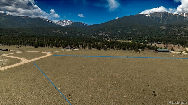 31308 N Meadow Way, Buena Vista, CO 81211