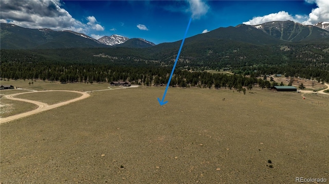 31308 N Meadow Way, Buena Vista, CO 81211