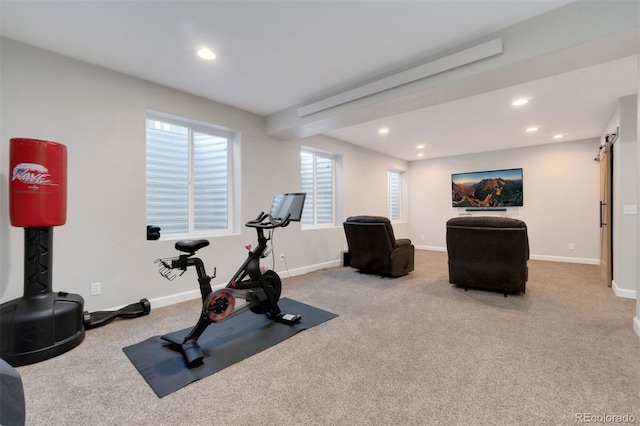 exercise area featuring a barn door and carpet floors