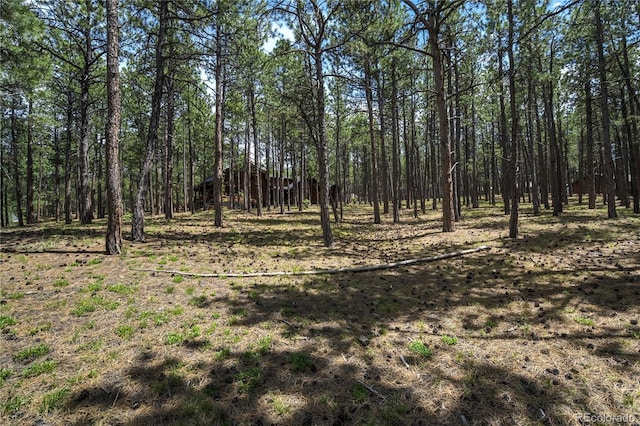 17960 Smugglers Rd, Monument, CO 80132