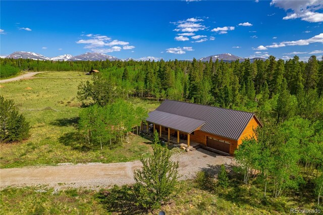 140 Vine Rd, Fairplay, CO 80440 - photo 1