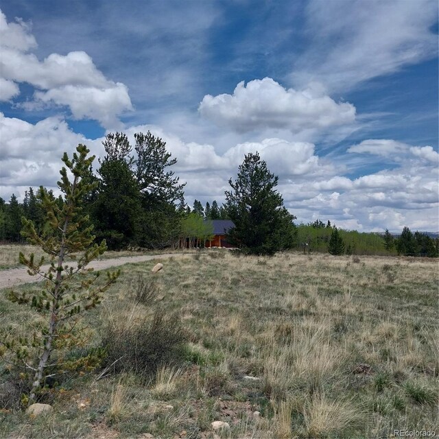 140 Vine Rd, Fairplay, CO 80440 - photo 4