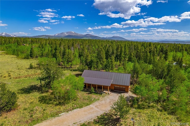 140 Vine Rd, Fairplay, CO 80440 - photo 5