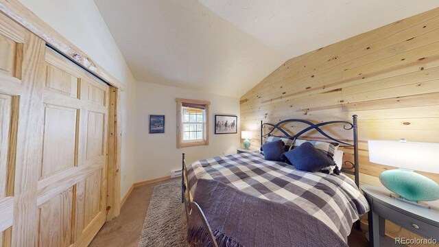 140 Vine Rd, Fairplay, CO 80440 - photo 17