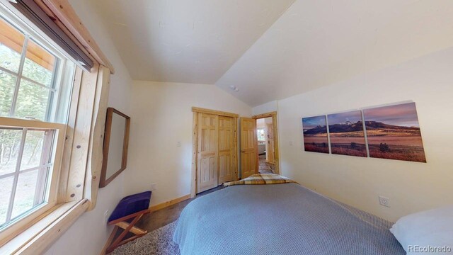 140 Vine Rd, Fairplay, CO 80440 - photo 19