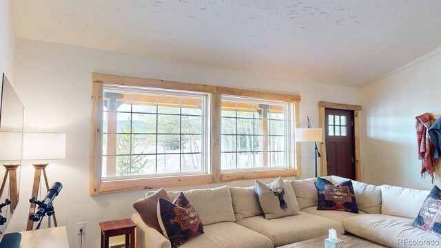 140 Vine Rd, Fairplay, CO 80440 - photo 26