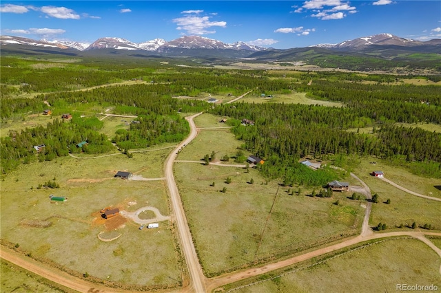 140 Vine Rd, Fairplay, CO 80440 - photo 40