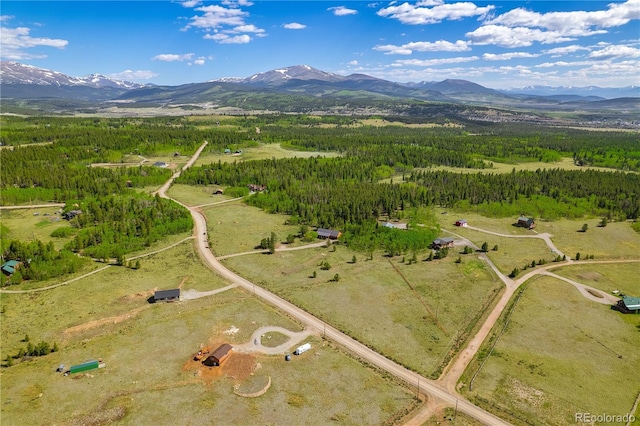 140 Vine Rd, Fairplay, CO 80440 - photo 41