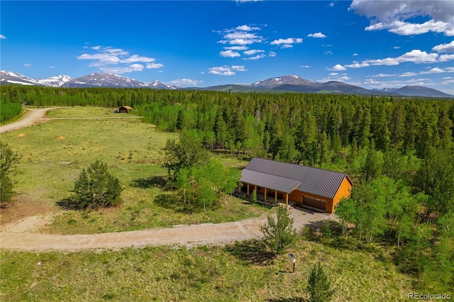 140 Vine Rd, Fairplay, CO 80440 - photo 43