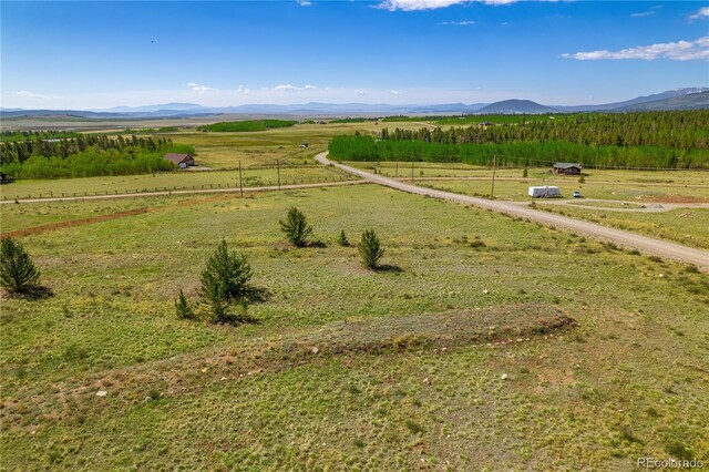 140 Vine Rd, Fairplay, CO 80440 - photo 44