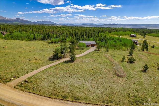 140 Vine Rd, Fairplay, CO 80440 - photo 45