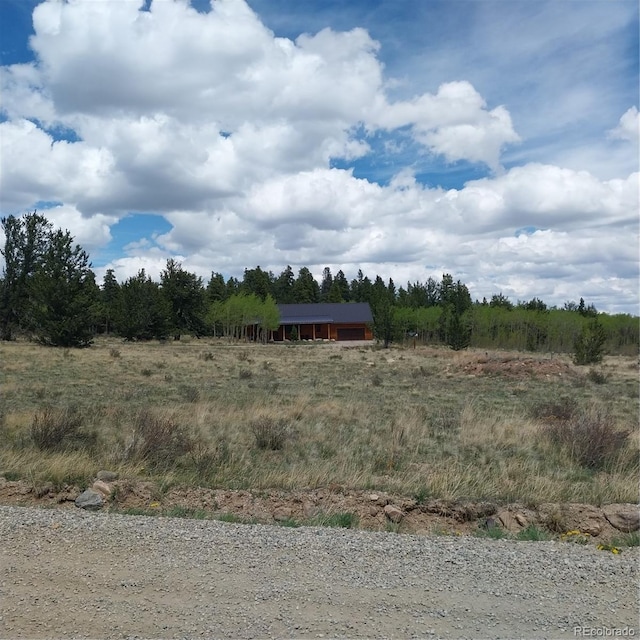 140 Vine Rd, Fairplay, CO 80440 - photo 46