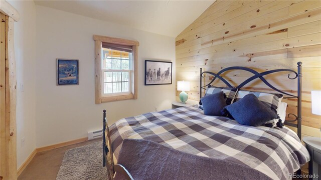 140 Vine Rd, Fairplay, CO 80440 - photo 31